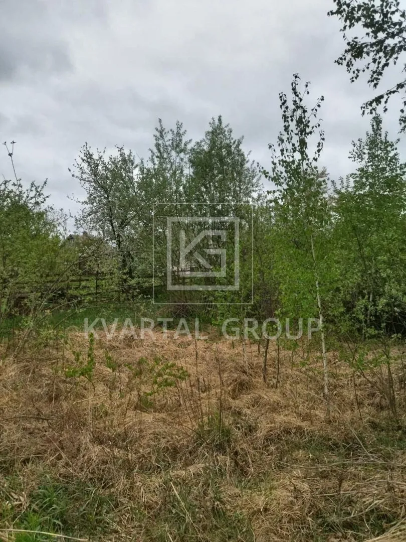 Продаж дачної ділянки в садовому товаристві. — фото 4 з 6
