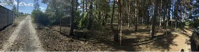 Проців, ділянка з лісом — мініатюра фото 1