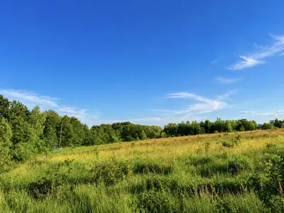 Земельна ділянка 12,5 сот. у с.Хоросно під будівництво/інвестицію — мініатюра фото 5
