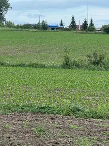 Земельна ділянка 7,56 соток (ОСГ), Львівська обл.,смт Нові Стрілища (пай під інвестицію) — мініатюра фото 3
