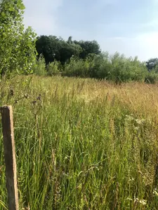 Озера продаж ділянки біля школи — мініатюра фото 5