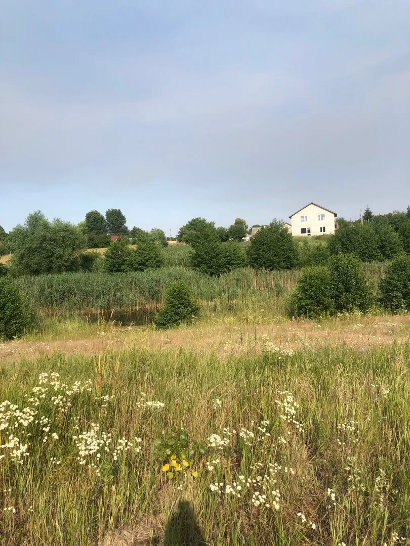 Озера продаж ділянки біля школи — фото 6 з 9