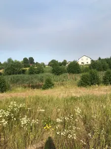 Озера продаж ділянки біля школи — мініатюра фото 6