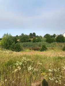 Озера продаж ділянки біля школи — мініатюра фото 7
