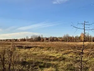 Михайлівка-Рубежівка 15 соток з електроенергією  15 соток без електроенергії 30 соток (2 ділянки) - 26500$ — фото 3 з 6
