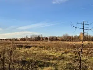 Михайлівка-Рубежівка 15 соток з електроенергією  15 соток без електроенергії 30 соток (2 ділянки) - 26500$ — мініатюра фото 3