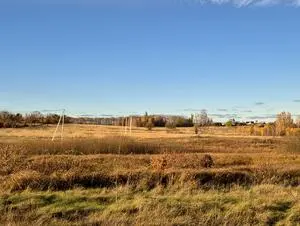 Михайлівка-Рубежівка 15 соток з електроенергією  15 соток без електроенергії 30 соток (2 ділянки) - 26500$ — мініатюра фото 4