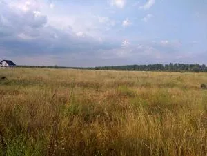 Продаж земельної  ділянки  Село Вабля, Бородянський район — фото 1 з 3