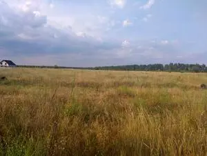 Продаж земельної  ділянки  Село Вабля, Бородянський район — мініатюра фото 1