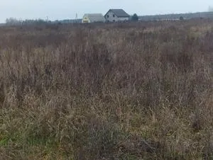 Продаж земельної  ділянки  Село Вабля, Бородянський район — фото 3 з 3