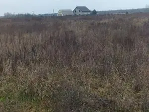 Продаж земельної  ділянки  Село Вабля, Бородянський район — мініатюра фото 3