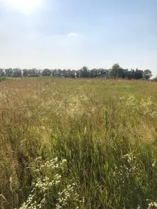 Озера продаж ділянки біля школи — мініатюра фото 2