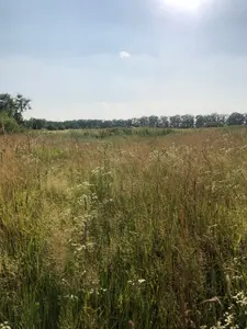 Озера продаж ділянки біля школи — мініатюра фото 4