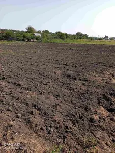 Продаж Земельної ділянки під будівництво садового будинку 10.3 сот с. Глибочиця ПОЧАТОК — мініатюра фото 4