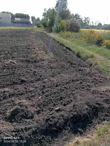 Продаж Земельної ділянки під будівництво садового будинку 10.3 сот с. Глибочиця ПОЧАТОК — мініатюра фото 5