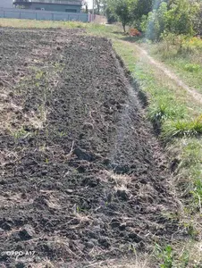 Продаж Земельної ділянки під будівництво садового будинку 10.3 сот с. Глибочиця ПОЧАТОК — мініатюра фото 7