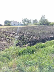 Продаж Земельної ділянки під будівництво садового будинку 10.3 сот с. Глибочиця ПОЧАТОК — мініатюра фото 8
