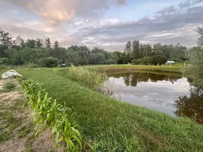 Продаж ділянки з озером 29 соток Проців — мініатюра фото 1
