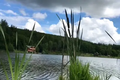 Ексклюзивна земельна ділянка у Карпатах, Яблунів, Косів, озеро, річка — мініатюра фото 9