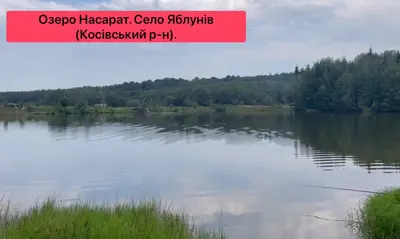 Ексклюзивна земельна ділянка у Карпатах, Яблунів, Косів, озеро, річка — мініатюра фото 13