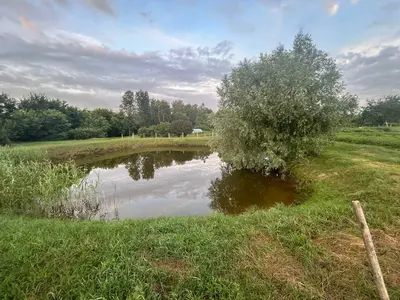 Продаж ділянки з озером 29 соток Проців — мініатюра фото 3