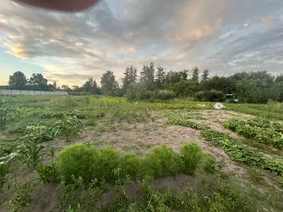 Продаж ділянки з озером 29 соток Проців — мініатюра фото 9