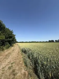 Продаж земельної ділянка під будівництво поруч лісу та фруктового саду — мініатюра фото 6
