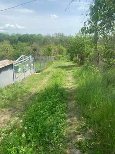 Приватизована дачна ділянка — мініатюра фото 4