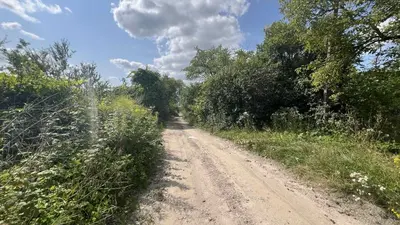 Ділянка під садівництво ( для дачі) с. Жирівка — мініатюра фото 1