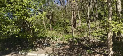 Продаж земельної ділянки в Печерському Районі, Київ — мініатюра фото 2