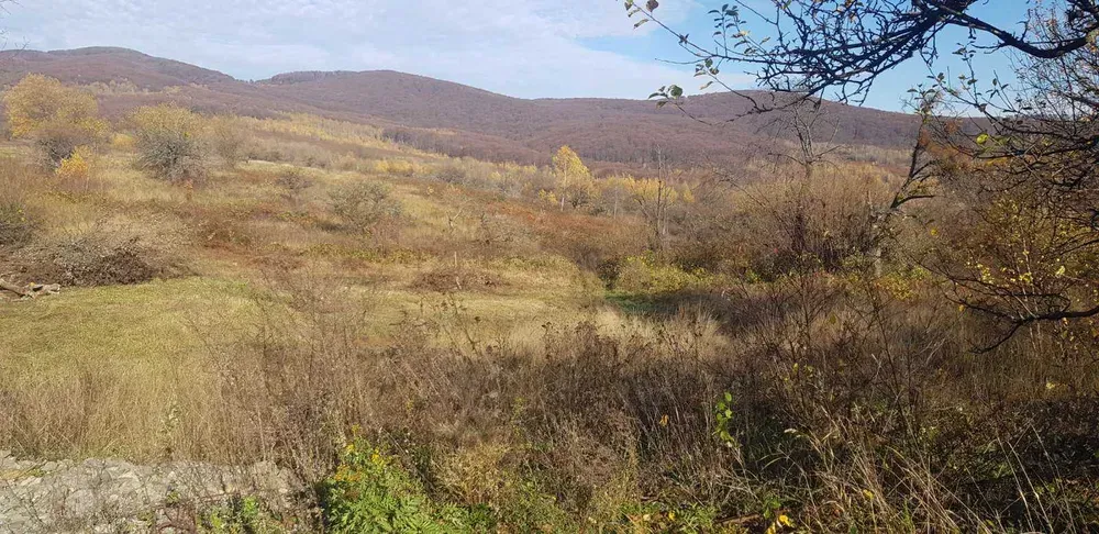 Земельну ділянку під будівництво — фото 1 з 4