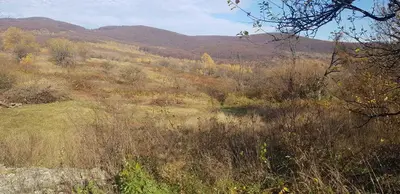 Земельну ділянку під будівництво — мініатюра фото 1