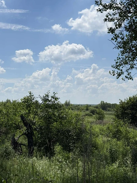 Продаж ділянка під будівництво ,с.Тернопілля — фото 3 з 17