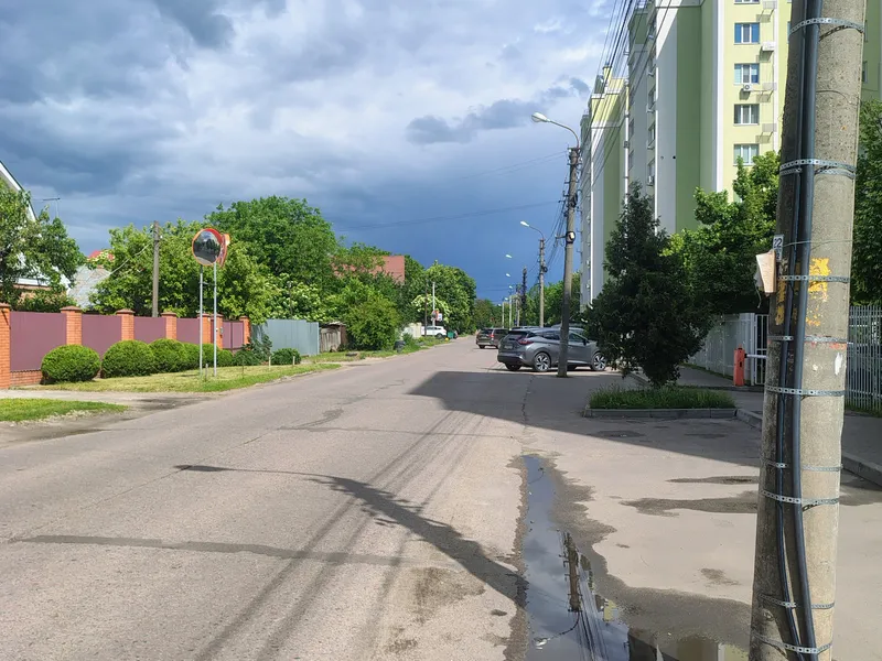 Фасад вул. В. Гудзя  — фото 2 з 2