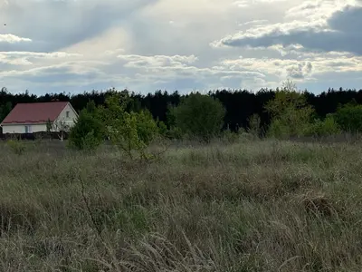 Продам власну земельну ділянку площею 10 соток (0.0997 га) у передмісті Києва — селі Блиставиця — мініатюра фото 2