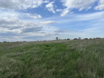 Продам власну земельну ділянку площею 10 соток (0.0997 га) у передмісті Києва — селі Блиставиця — мініатюра фото 6