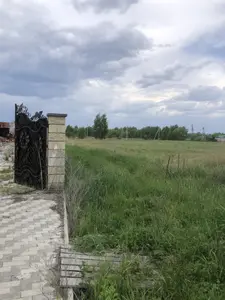 Буча вулиця Симоненко  — мініатюра фото 1