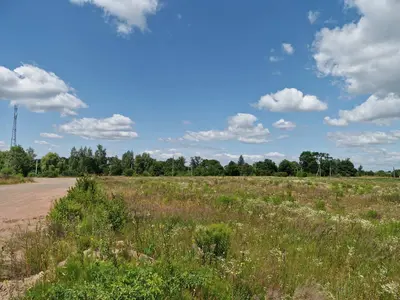 Фасадна ділянка 1,5 Га в с.Кам'янка.(26165398) — мініатюра фото 5