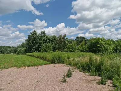 Ділянка 2Га для інвестицій в с.Станешівка.(26110341) — мініатюра фото 4