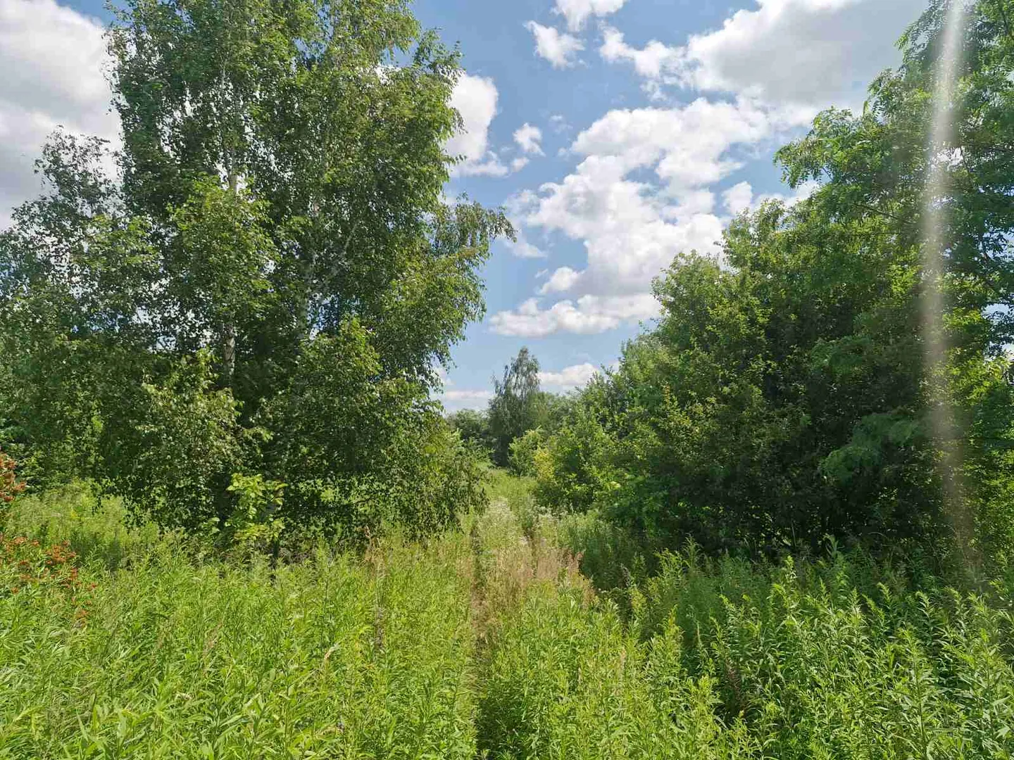 Ділянка 2Га для інвестицій в с.Станешівка.(26110341) — фото 6 з 8
