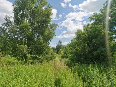 Ділянка 2Га для інвестицій в с.Станешівка.(26110341) — мініатюра фото 6