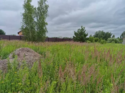 Продаж ділянки 10 сот., р-н Смоківка.(26126365) — мініатюра фото 4