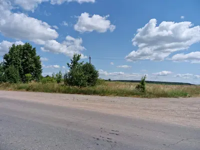 Фасадна ділянка 1,5 Га в с.Кам'янка.(26165398) — мініатюра фото 1
