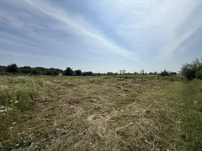 🏡 Продаж земельної ділянки в с. Добряни🏡 — мініатюра фото 1