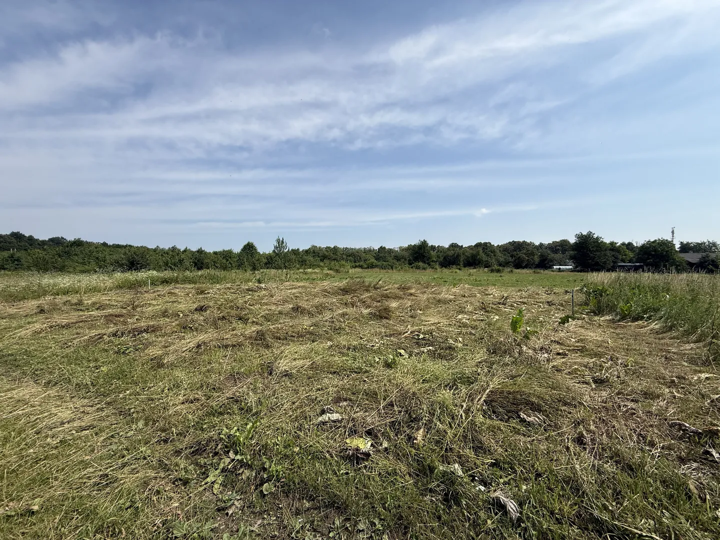 🏡 Продаж земельної ділянки в с. Добряни🏡 — фото 2 з 7
