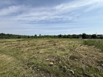 🏡 Продаж земельної ділянки в с. Добряни🏡 — мініатюра фото 2