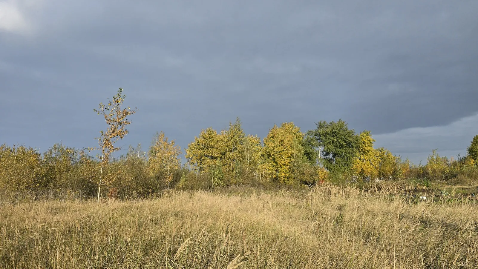 Ділянка 9 сот. на Залізничній. (26155123) — фото 2 з 6