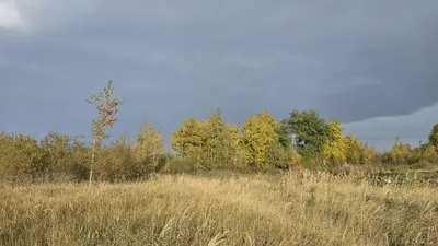 Ділянка 9 сот. на Залізничній. (26155123) — мініатюра фото 2