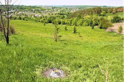 Продаж земельної ділянки 25 сот — мініатюра фото 1