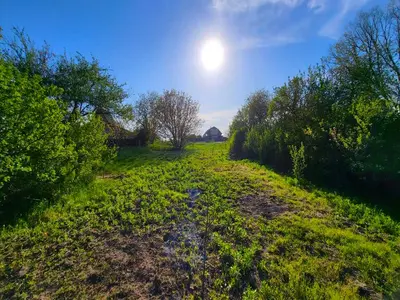 Продаж ділянки 17 соток — мініатюра фото 9
